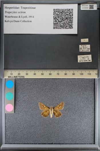 Media type: image;   Entomology 197609